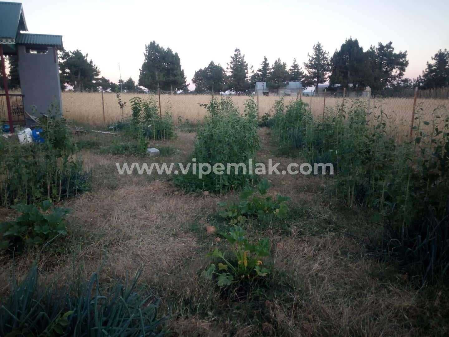 ERDEMLİ AVGADI DA SATILIK VİLLA