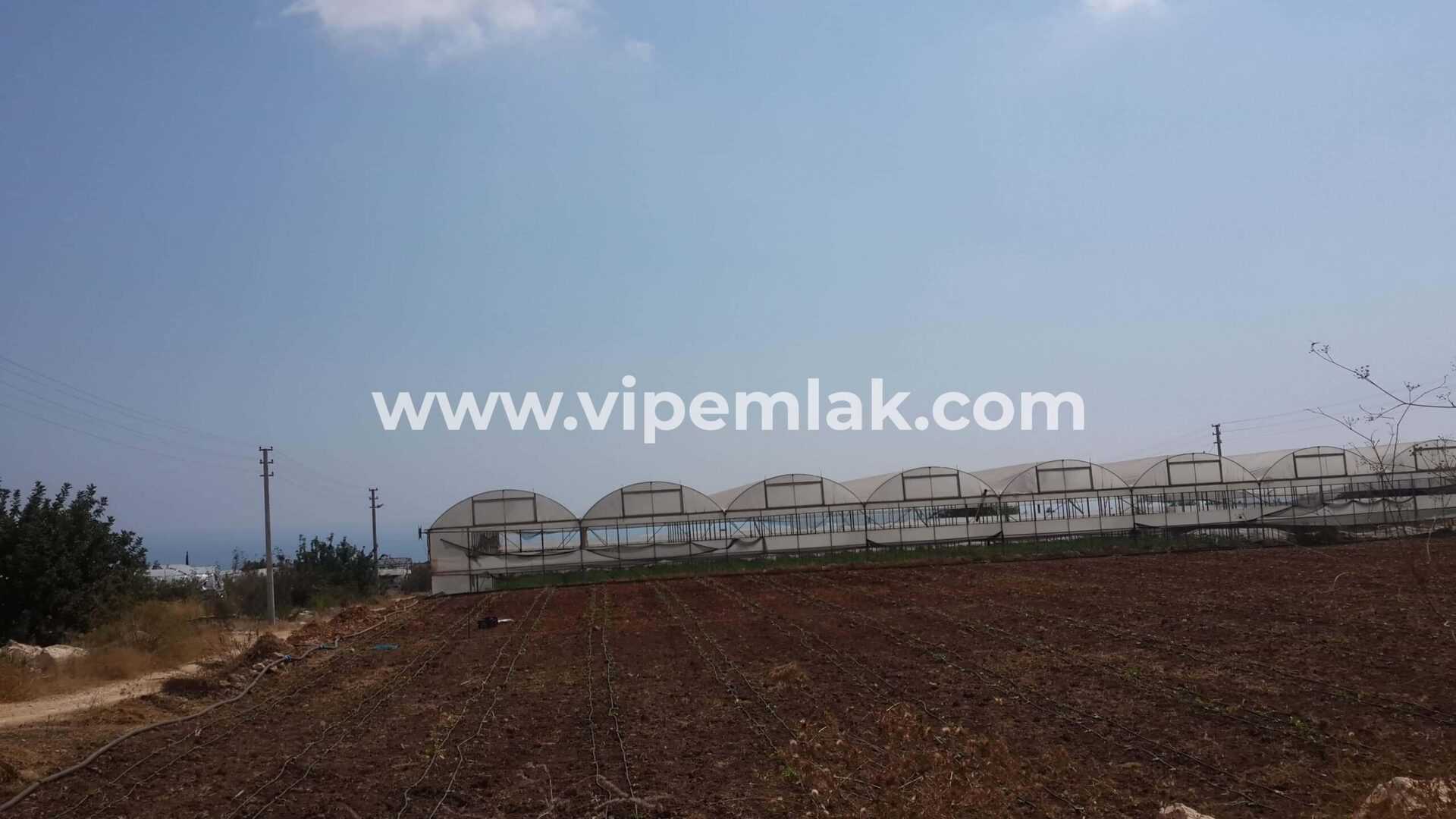 ERDEMLİ KOYUNCU İMARLI 5623M2 SATILIK ARSA