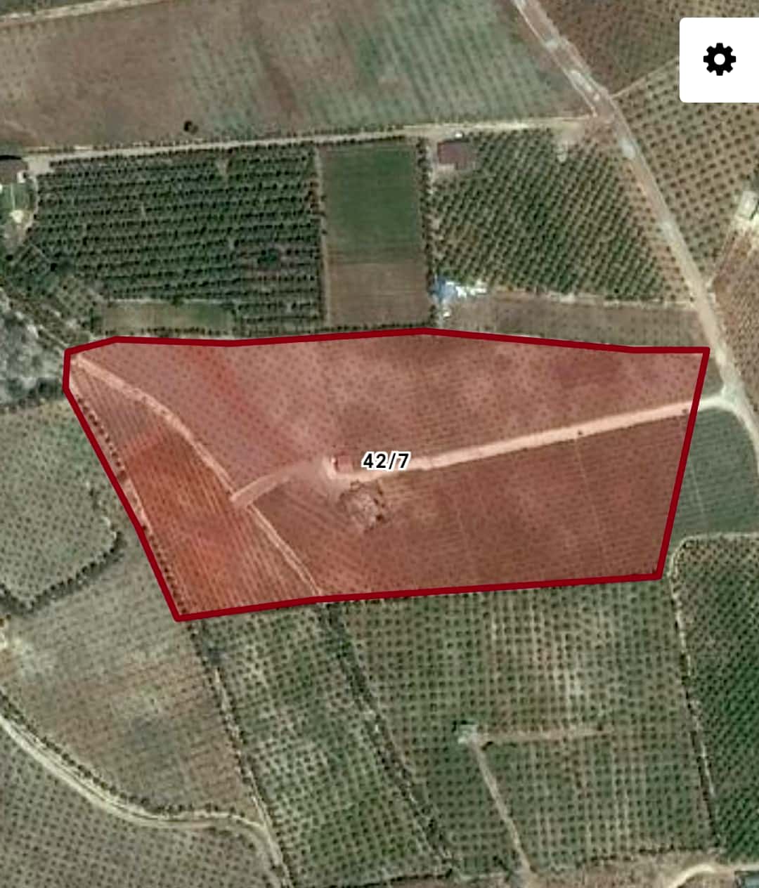 çeşmeli 30.000m2 yolu suyu elektriği bulunan satılık limon bahçesi