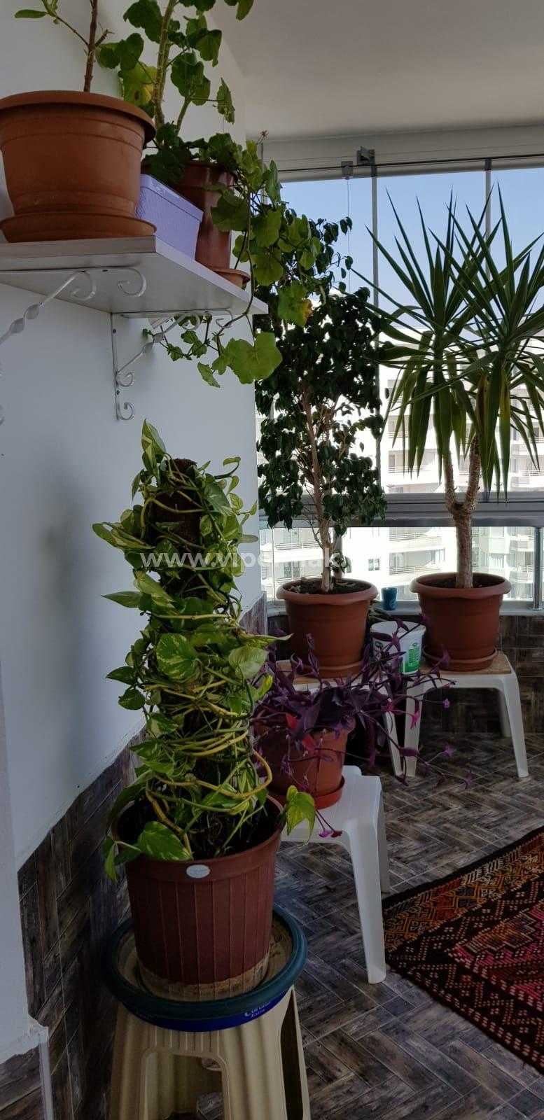 AYAŞ DİVA HOLİDAY TATİL SİTESİNDE SATILIK EŞYALI YAZLIK DAİRE