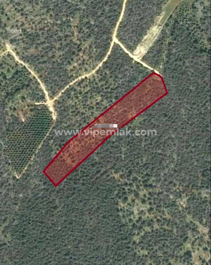 kumkuyuda 11716mt satılık kelepir tarla