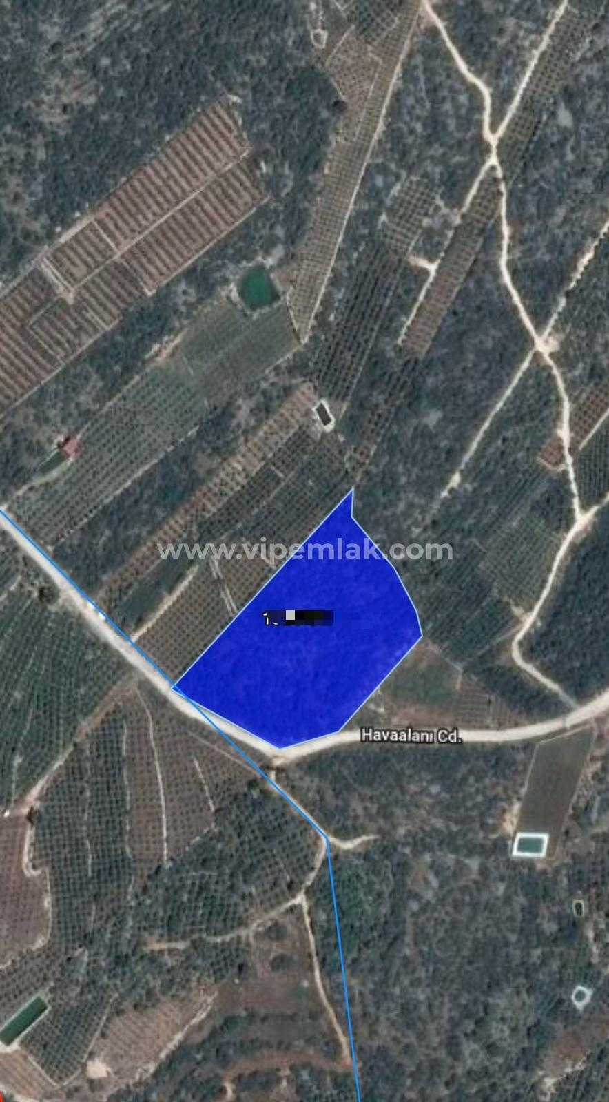 Kumkuyu’da 13916 m2 Satılık Kelepir Tarla