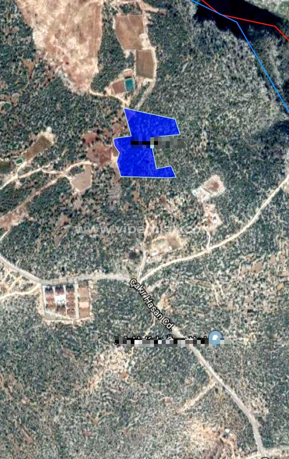 Mersin Erdemli Kızkalesi’nde Satılık 20.614 m2 Kelepir Fiyatta Tarla