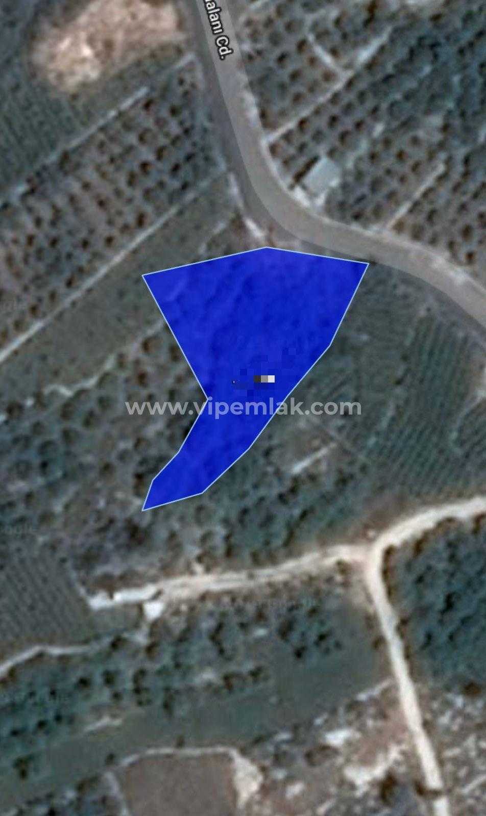 Erdemli Tırtar’da 1260m2 Satılık Kelepir Fiyatta Tarla