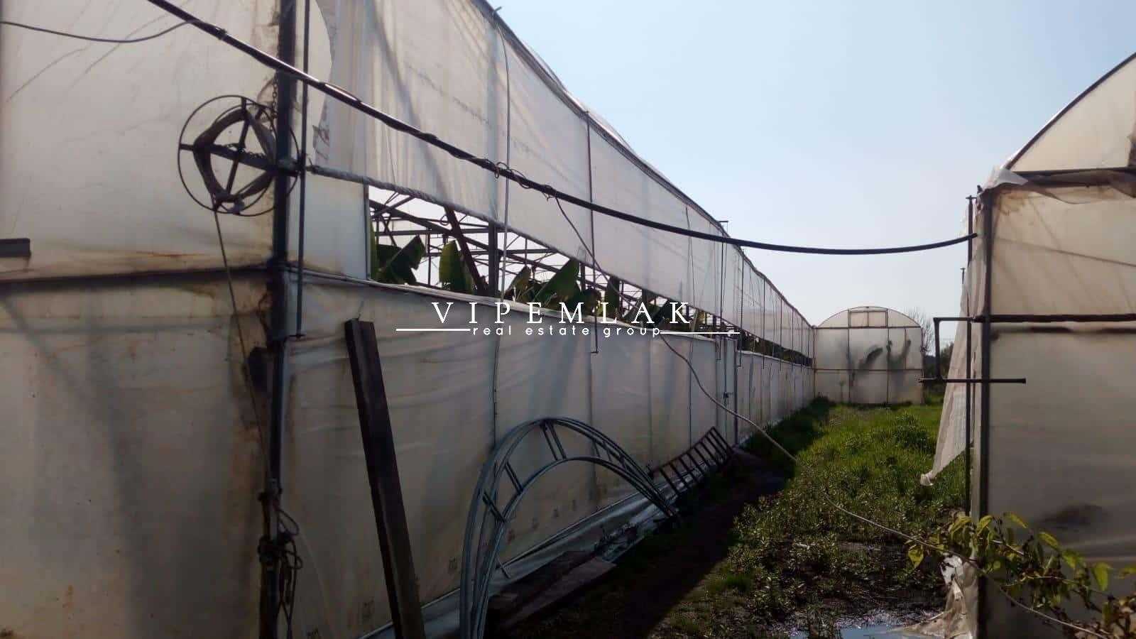 ERDEMLİ KOYUNCU’DA 6032 m2  SATILIK MUZ SERASI