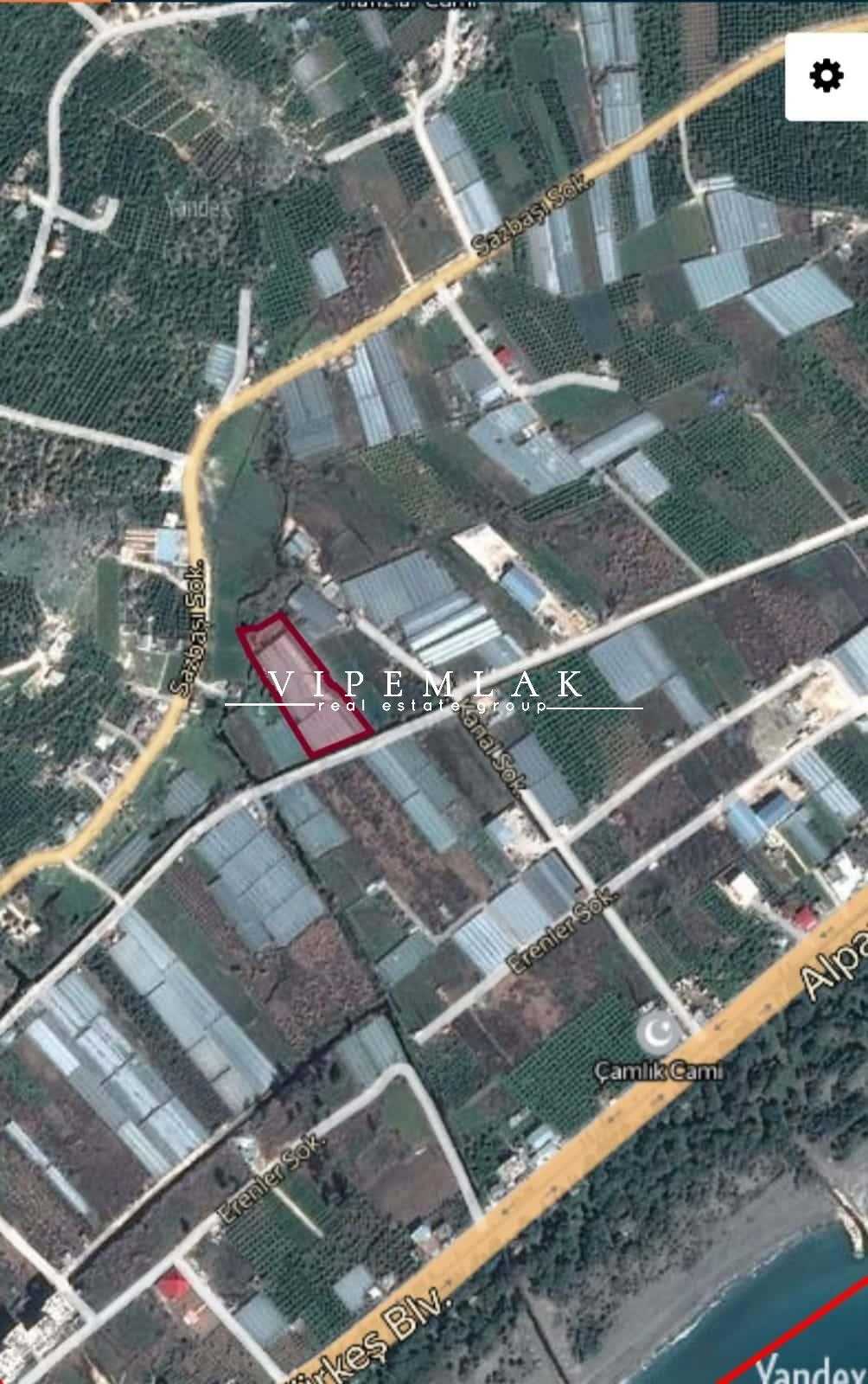 ERDEMLİ KOYUNCU’DA 6032 m2  SATILIK MUZ SERASI