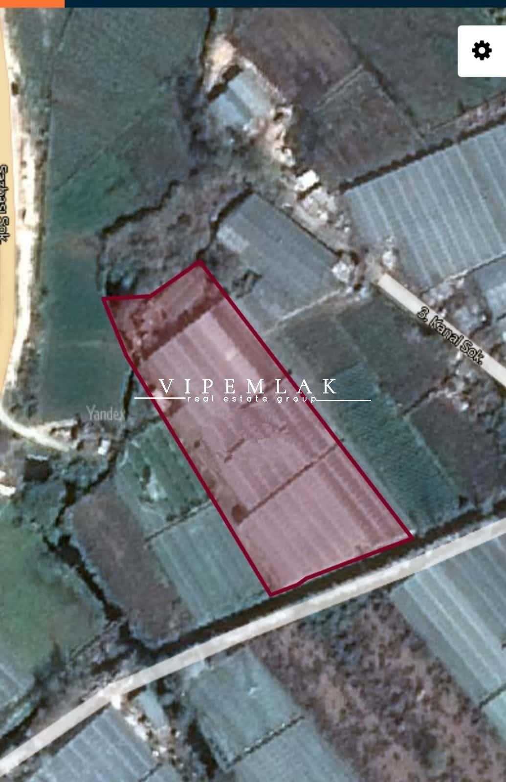 ERDEMLİ KOYUNCU’DA 6032 m2  SATILIK MUZ SERASI