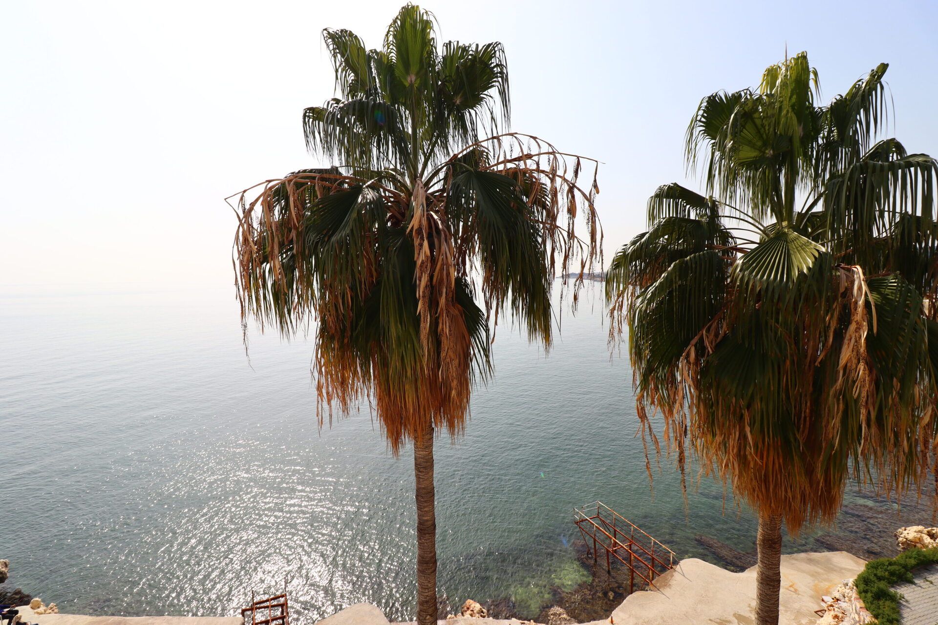 Mersin Erdemli Ayaş Tepe Sitesi Satılık Lebiderya 2+1 Daire