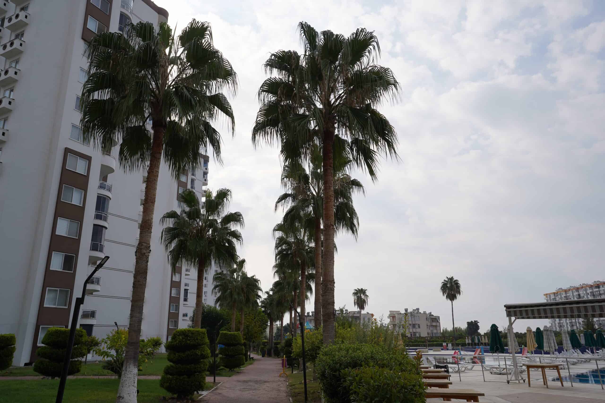 Mersin Erdemli Çeşmeli Liparis SunCity Satılık 1+1 Daire